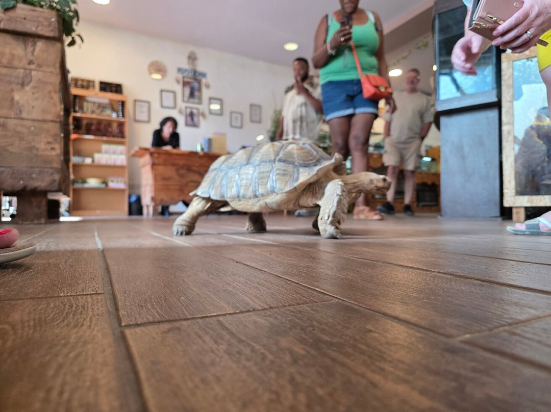 Reptisland-Melidoni必去景点