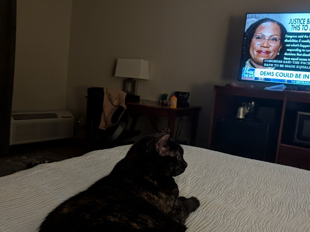 Wingate by Wyndham Valdosta/Moody AFB主图