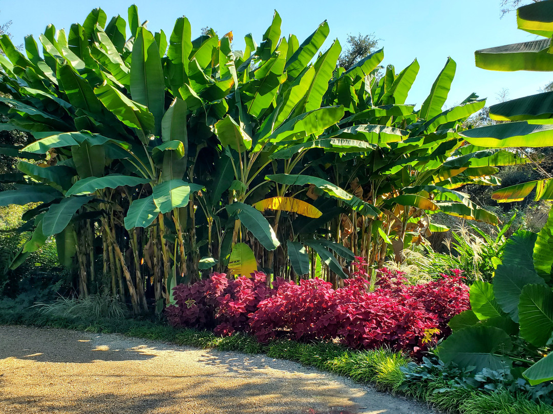 Rip Van Winkle Gardens-新伊比利亚必去景点