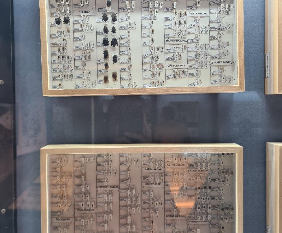 Il Nibbio-Morano Calabro必去景点