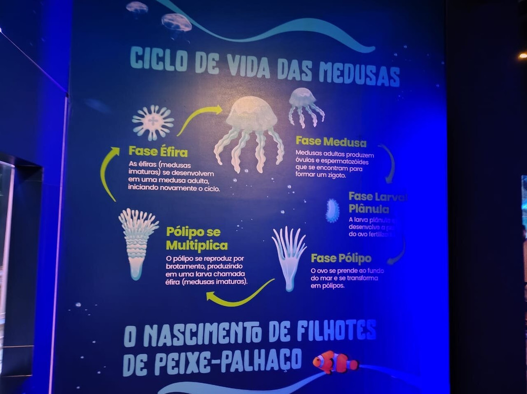 Oceanic Aquarium-康泊琉海水浴场必去景点