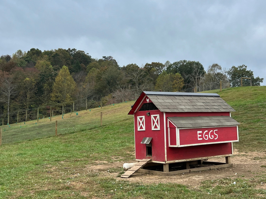Cress Creeks Farm And Corn Maze-Ellijay必去景点