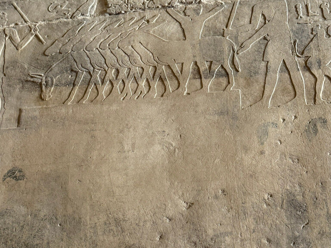 Mastaba of Ptah-Hotep and Akhti-Hotep-Saqqara必去景点