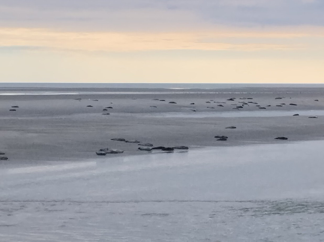 Hotel Le Littoral主图