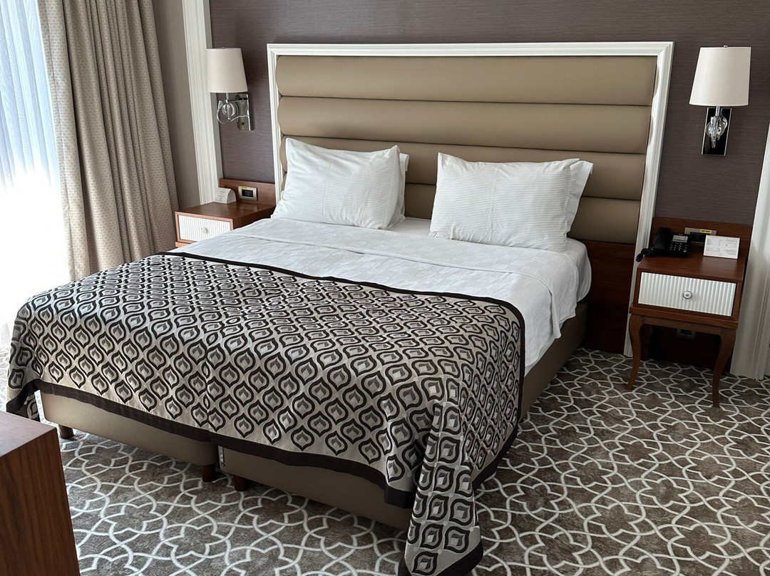 Alusso Thermal Hotel Spa & Convention Center主图