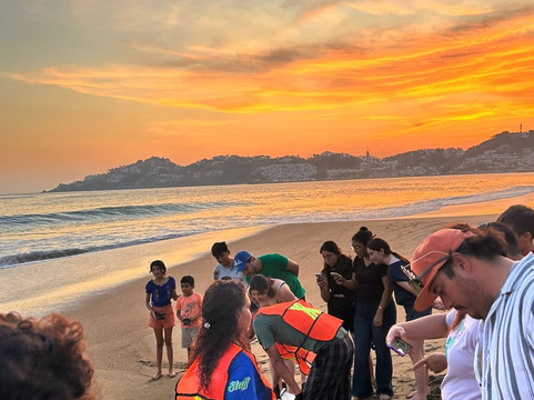 Tlaloc Tours-曼萨尼约必去景点