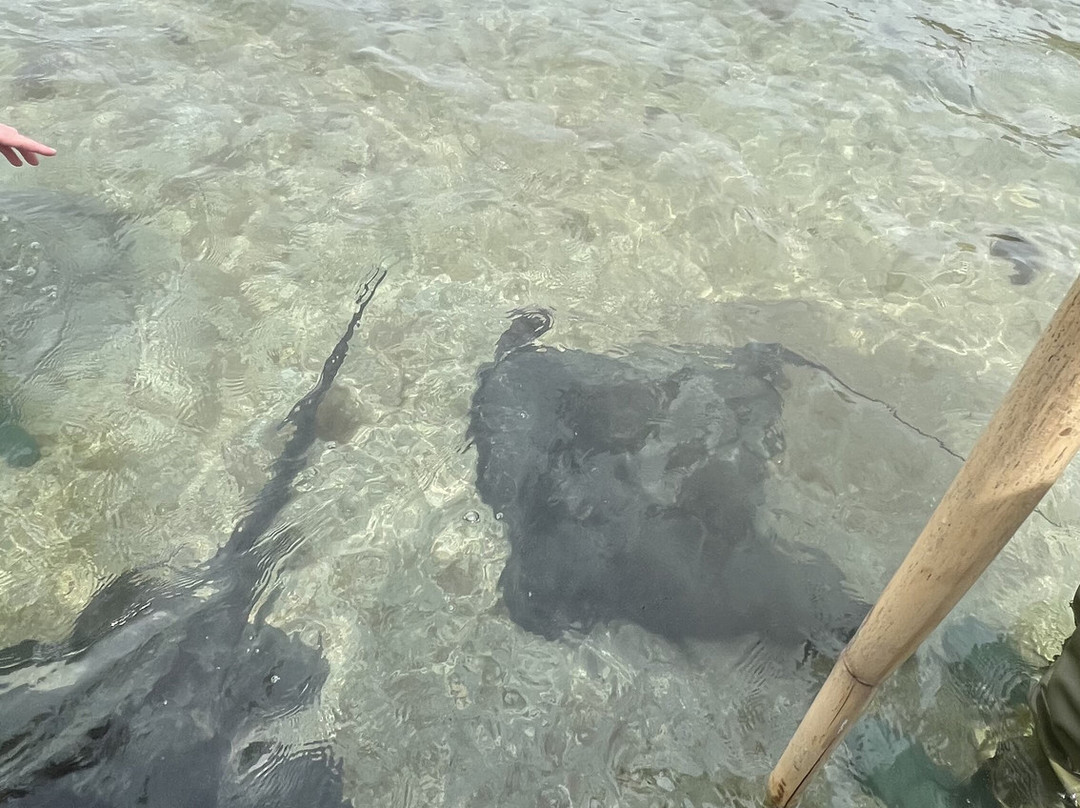 Dive Tatapouri-Gisborne Region必去景点