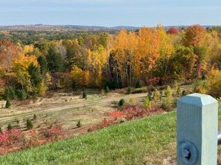 Sokokis Lookout-Limerick必去景点