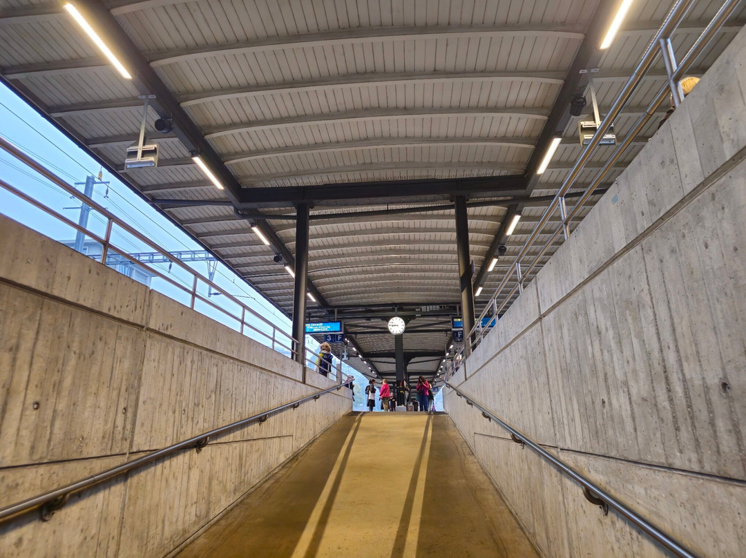 Lugano Train Station-卢加诺必去景点