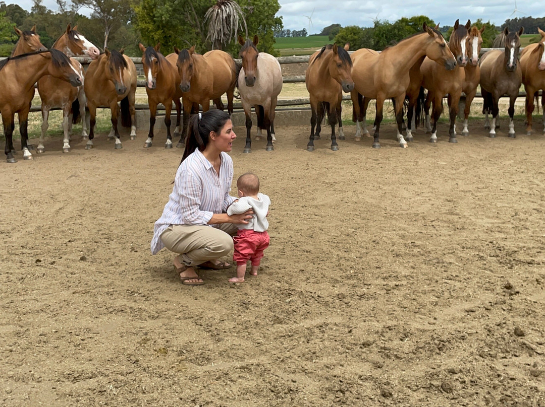 La Rábida - Estancia-San Jose de Mayo必去景点