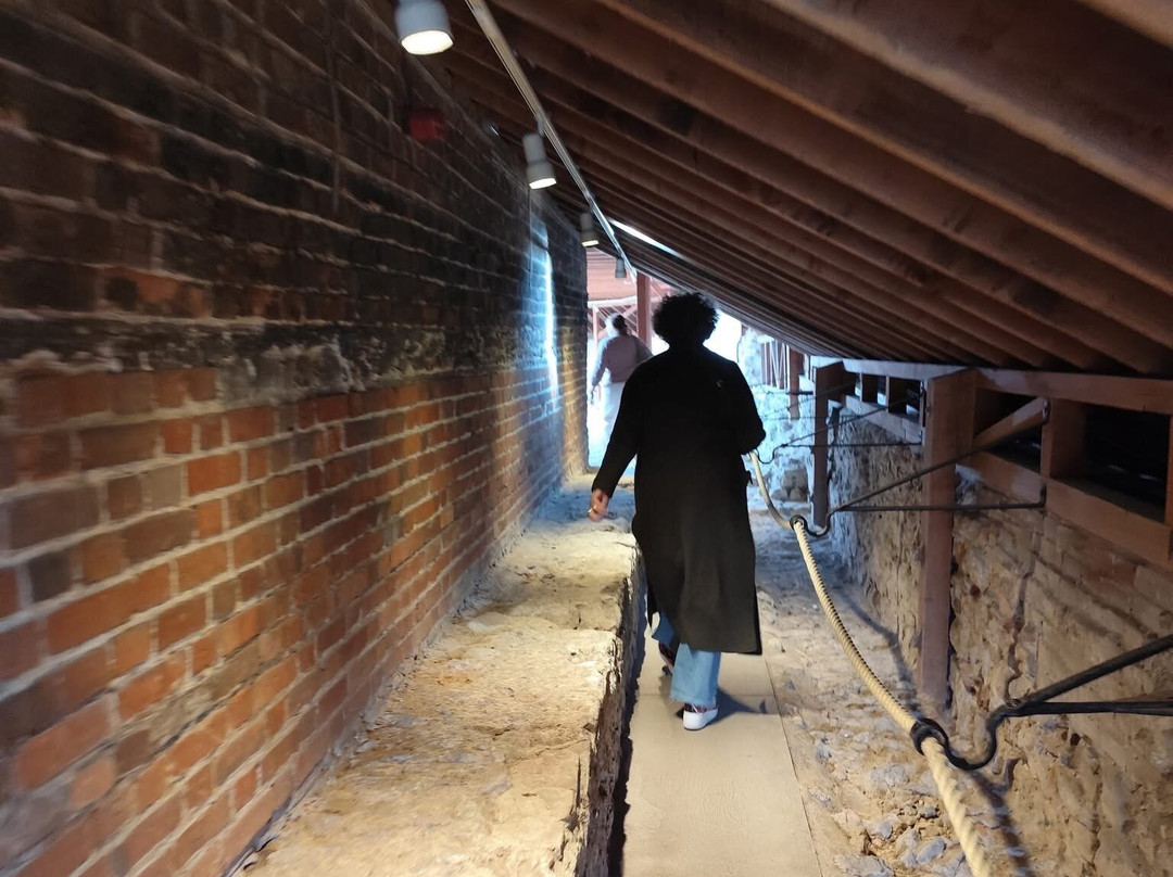 Colchester Castle Museum-科尔切斯特必去景点