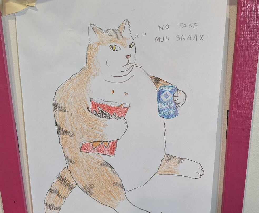 The Purrfect Cup - A Cat Cafe-弗雷德里克顿必去景点