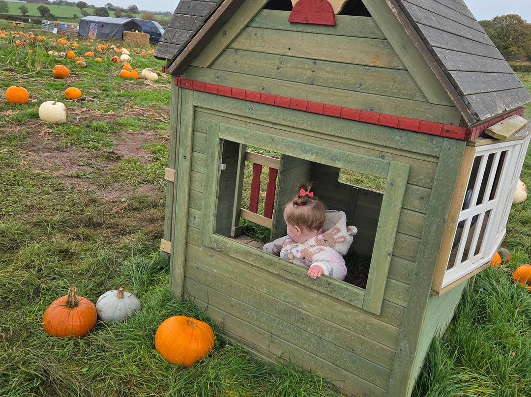 Tunstall Farm Park-Woodseaves必去景点