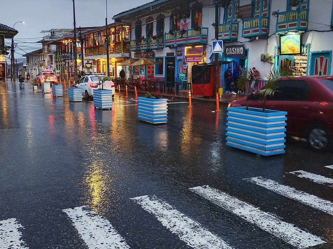 Cocora Trek Salento-萨伦托必去景点
