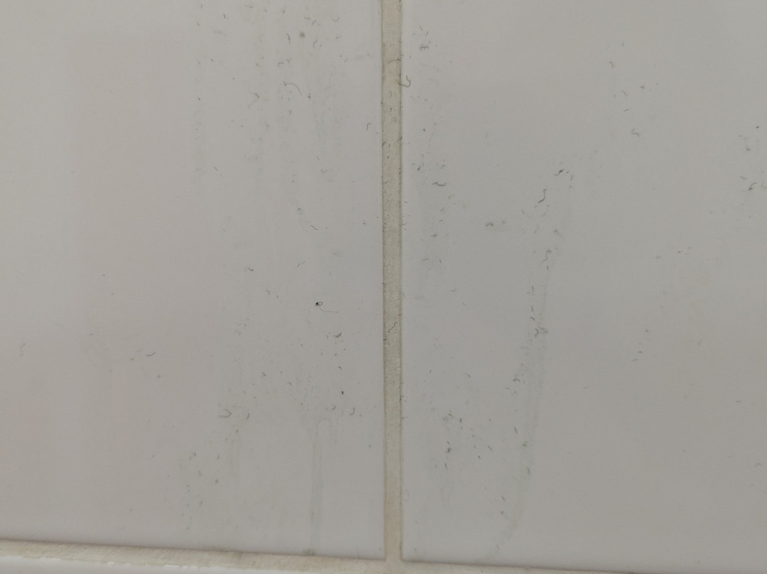 Flip Out Peterborough-彼得伯勒必去景点