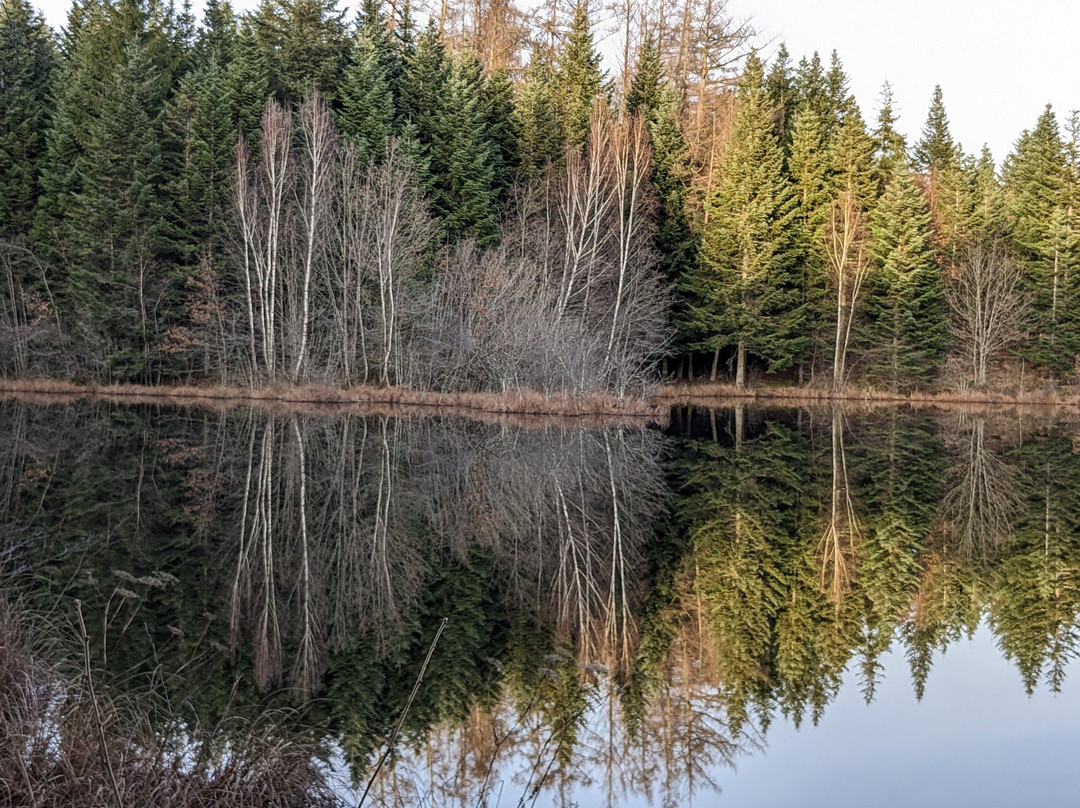 Plateau des Mille Etangs-Beulotte-Saint-Laurent必去景点