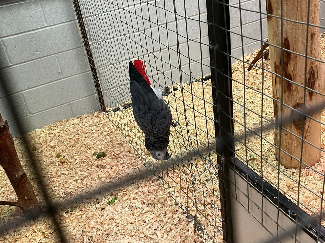 Heads of Ayr Farm Park-艾尔必去景点