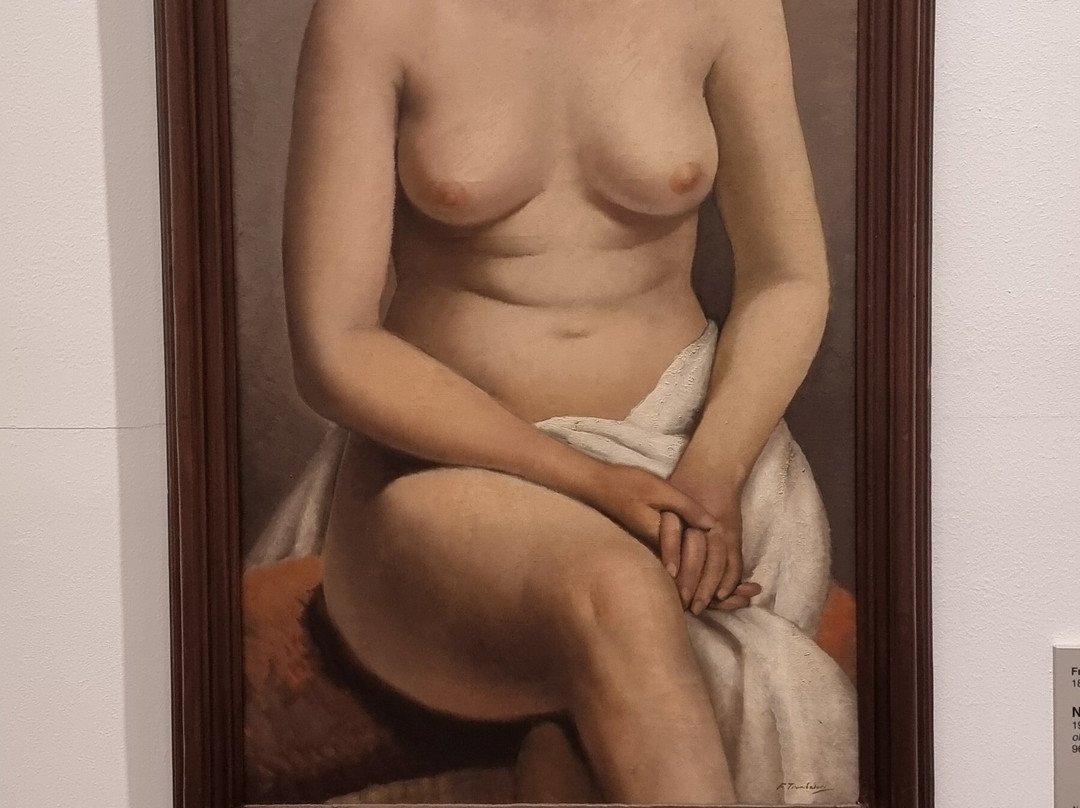 Galleria d'Arte Moderna Giannoni-诺瓦拉必去景点