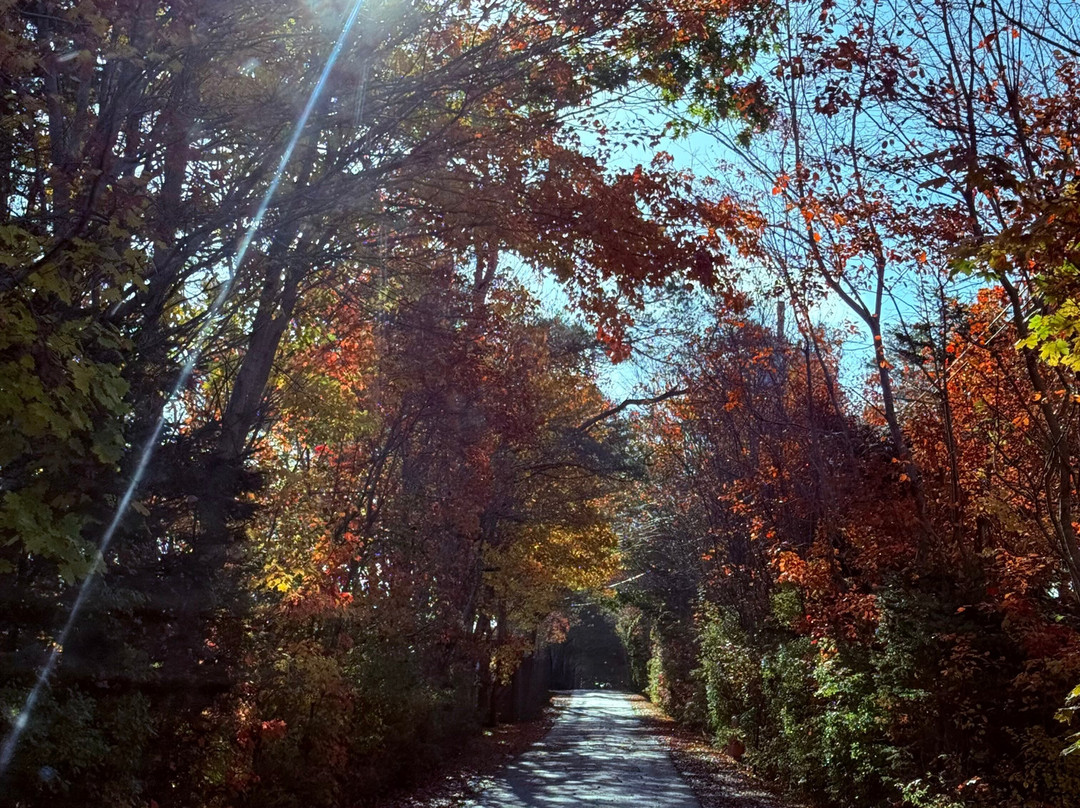 ToursByLocals-哈利法克斯必去景点