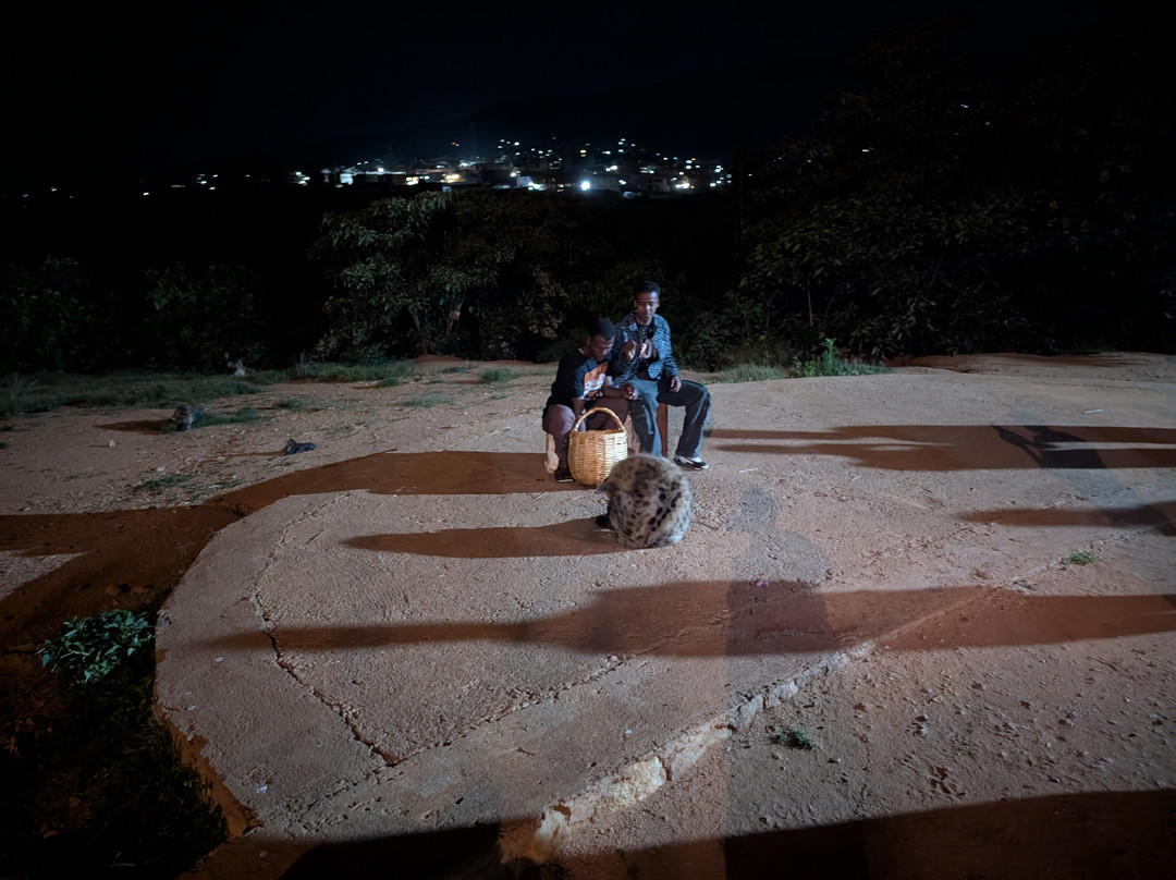 Joel Harar Tours-哈勒尔必去景点