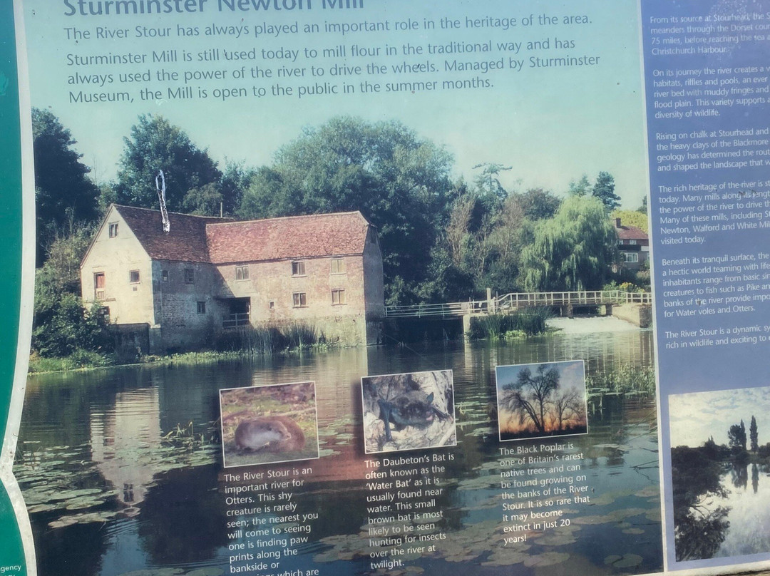 Sturminster Newton Mill-Sturminster Newton必去景点