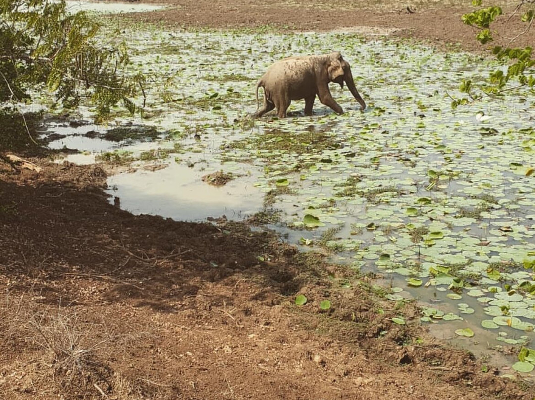 Ayulanka Tours-Yakkala必去景点