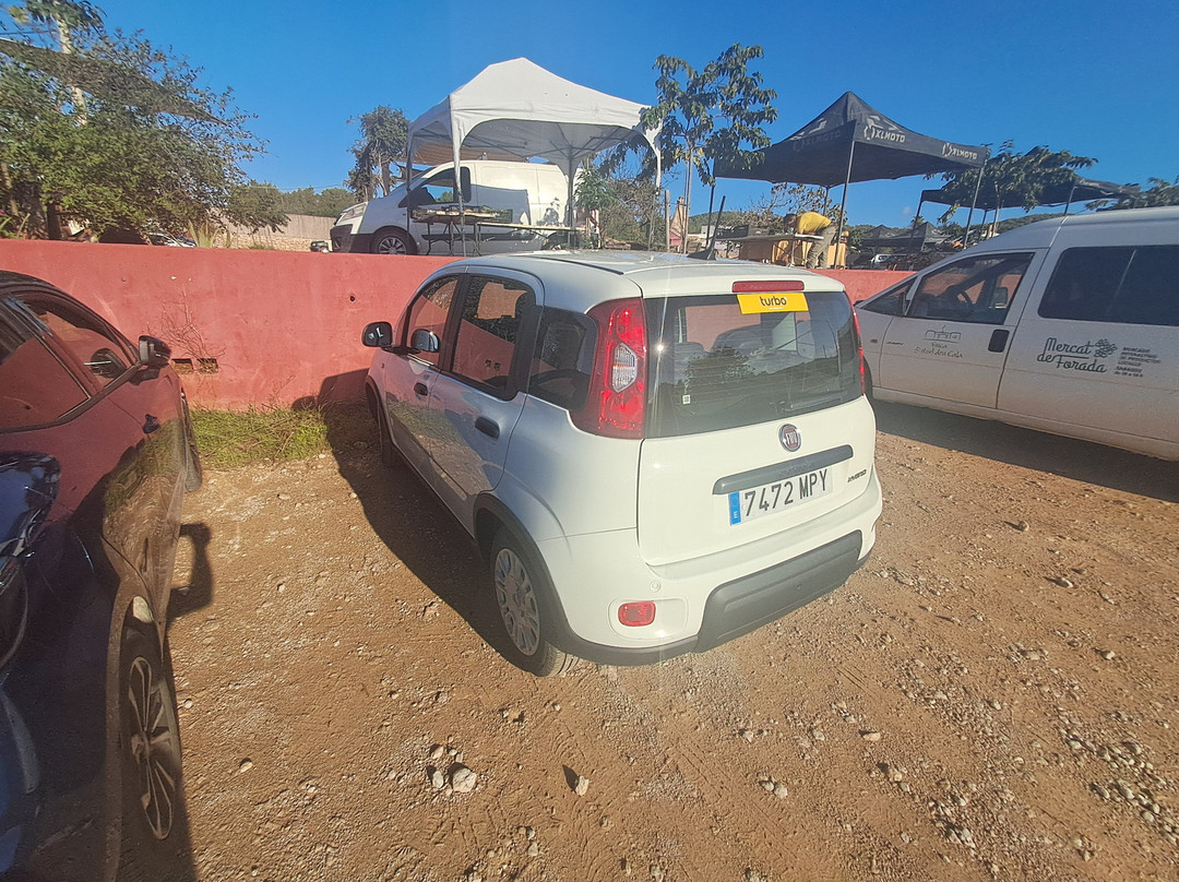 A. Turbo Rent a Car-圣安东尼德波特曼尼必去景点