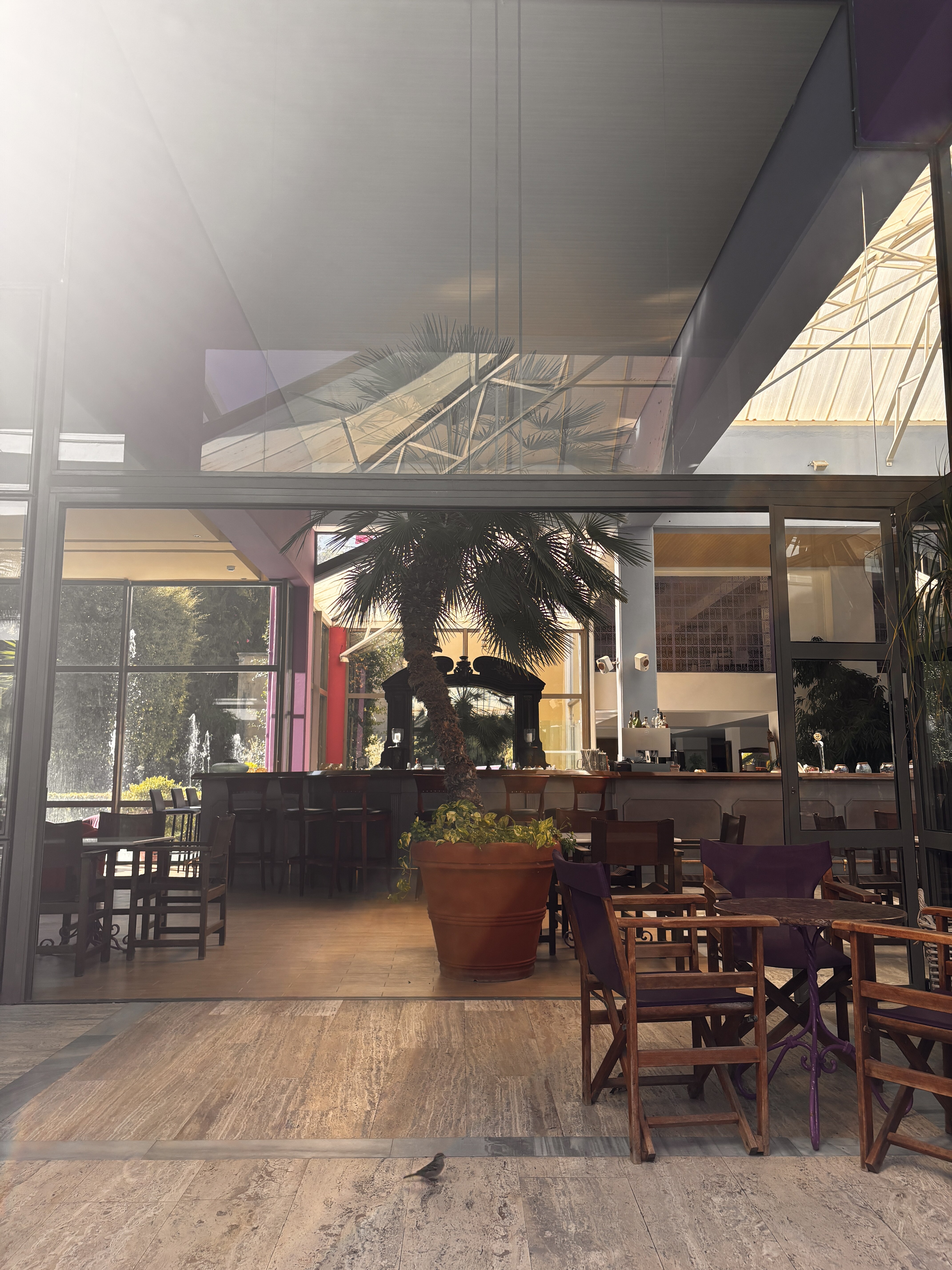 狄厄尼索斯酒店-官方