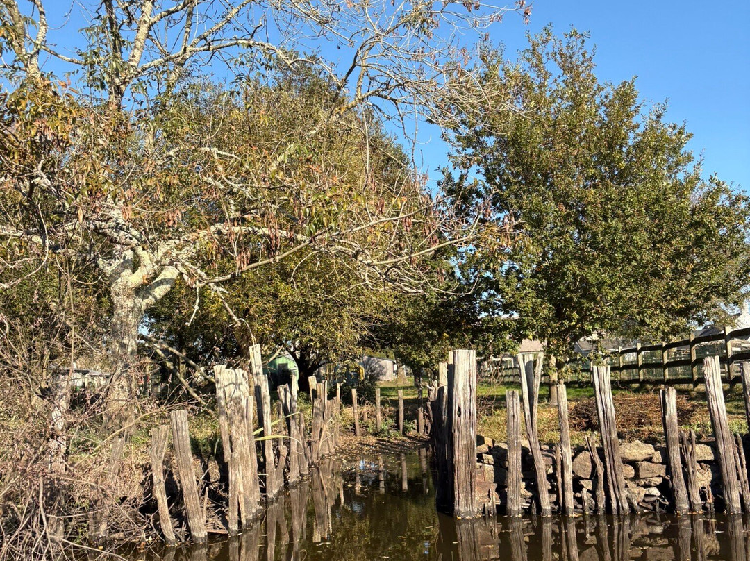 Promenades en Chaland - Valerie Aoustin-Huard-Saint-Joachim必去景点