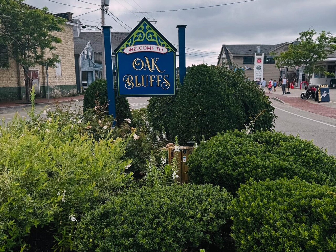 Oak Bluffs Town Beach-Oak Bluffs必去景点