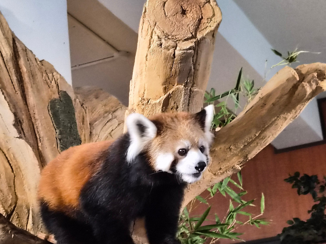 名护Neo自然动植物公园-名护市必去景点