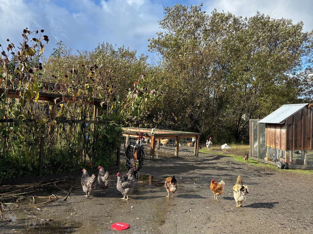 Tokeland Hotel主图