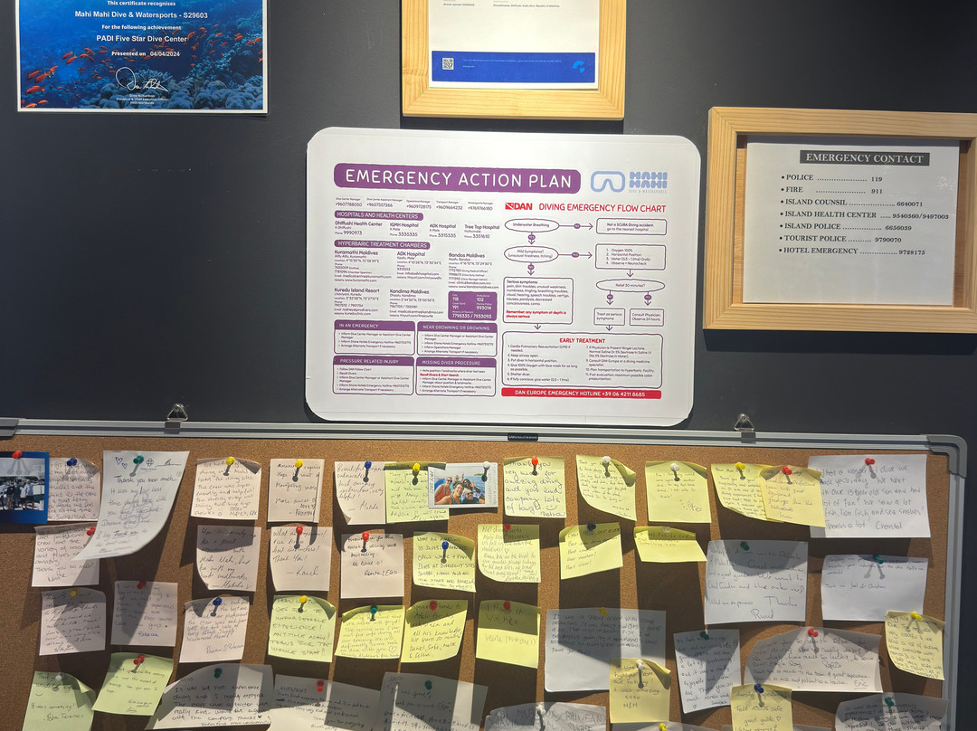 Mahi Mahi Dive & Watersports-Dhiffushi Island必去景点