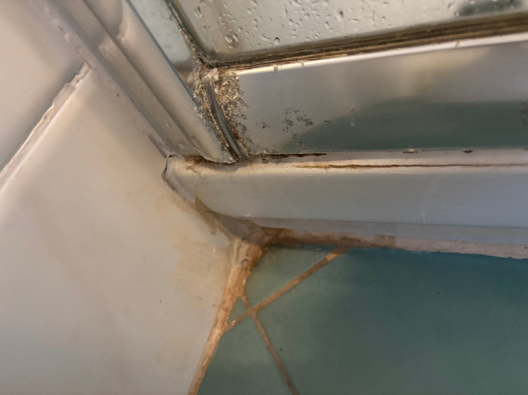 Pensiunea La Maison主图