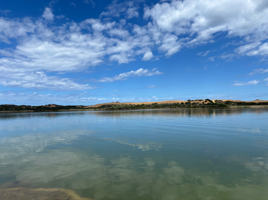 Coorong Wildside Tours-Meningie必去景点