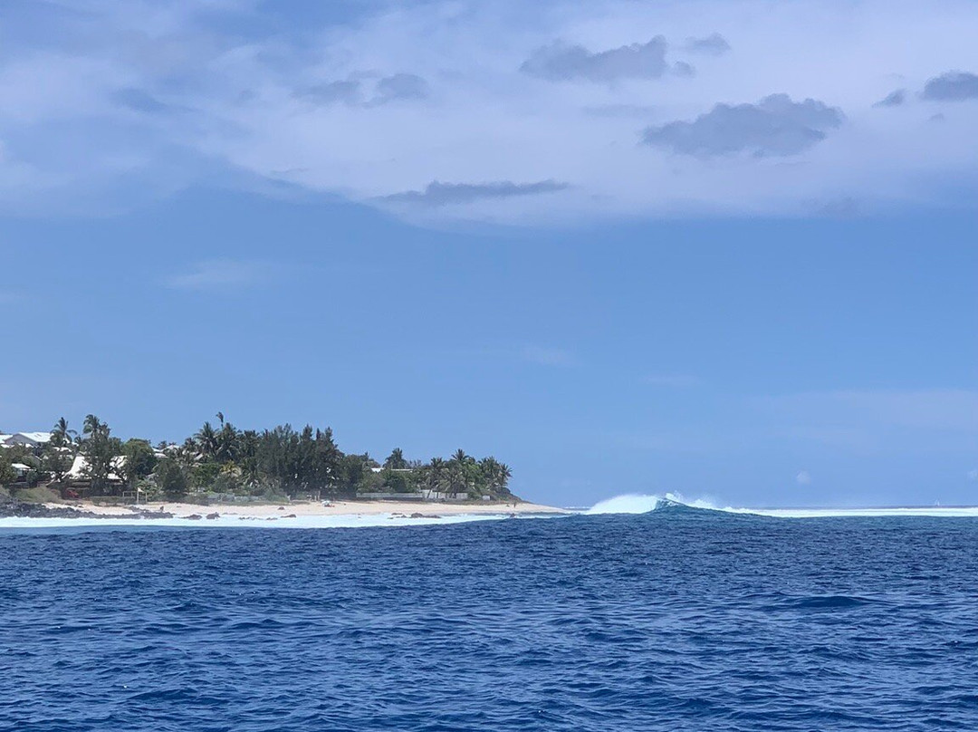 Sealife-圣吉尔莱班必去景点