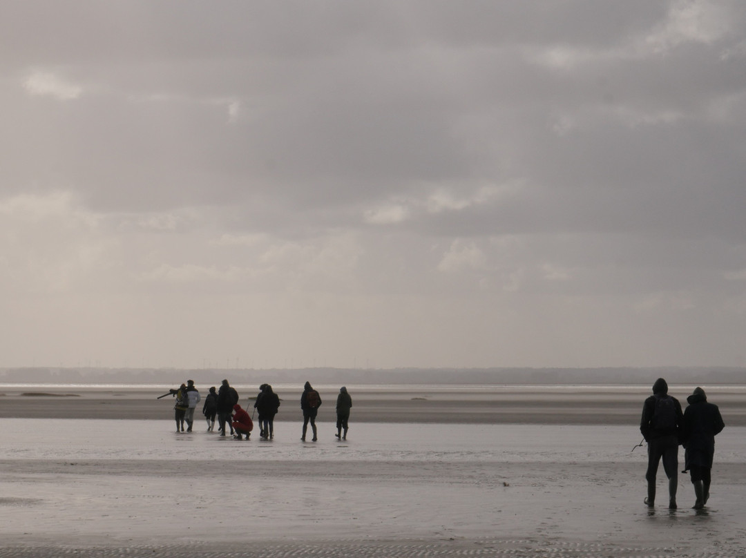 Maxim Guide Baie de Somme-Boismont必去景点