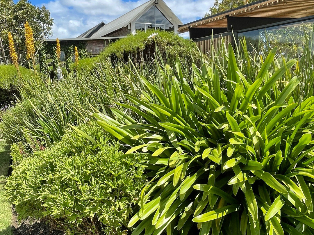 Creation-赫曼努斯必去景点