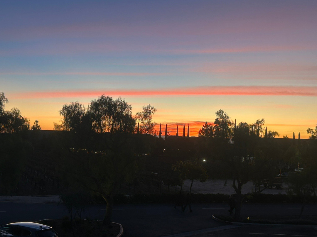 Ponte Winery-特曼库拉必去景点