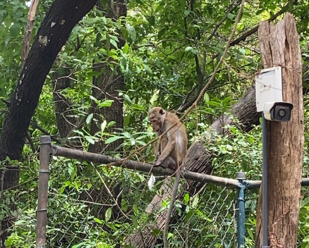 Wonder Sri Lanka Tours-卡图纳耶克必去景点