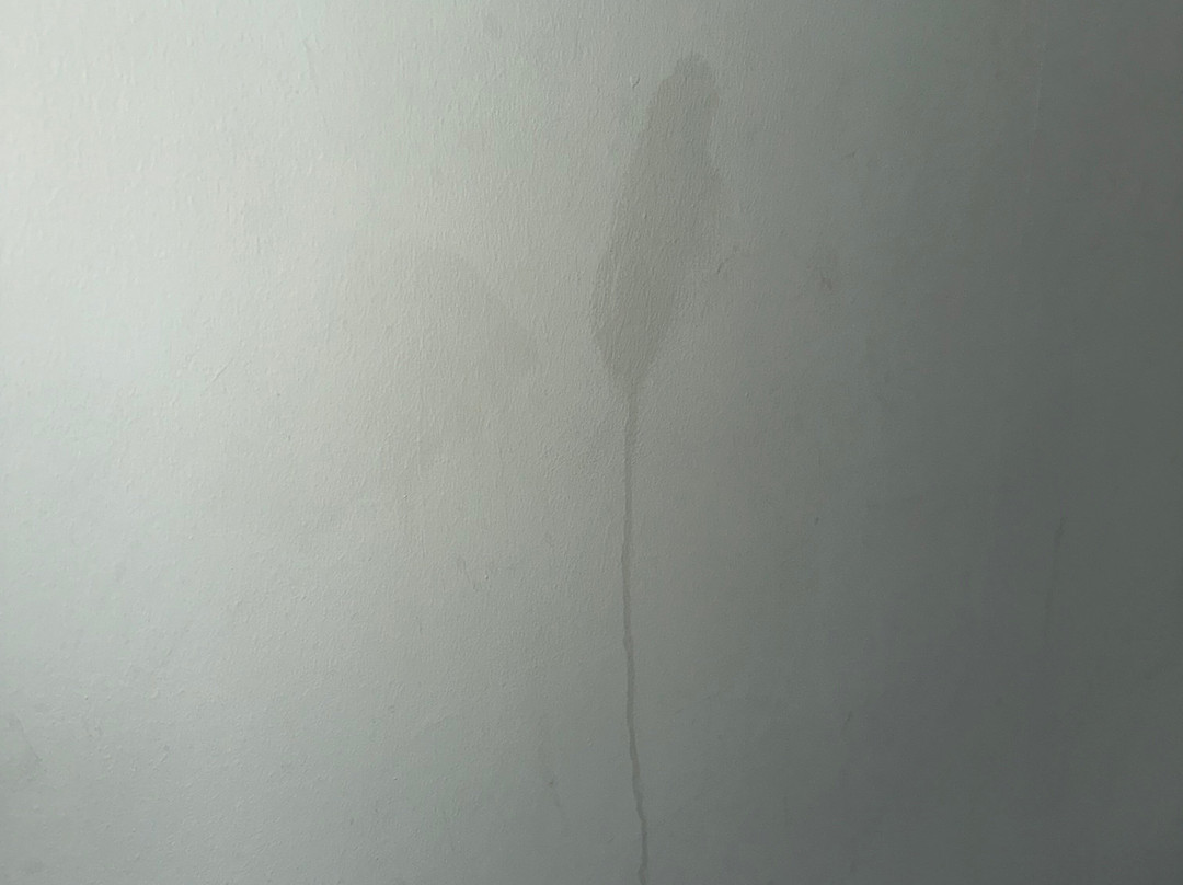 The Queens Head主图