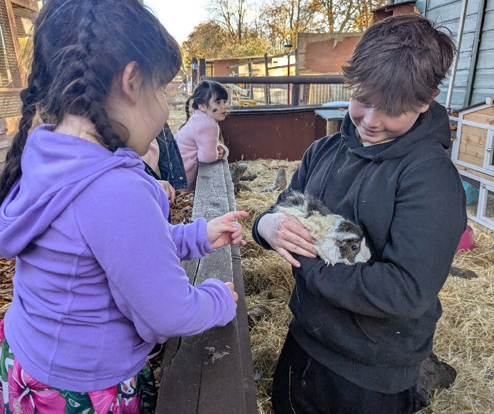 Promenade Park Petting Zoo-Maldon必去景点