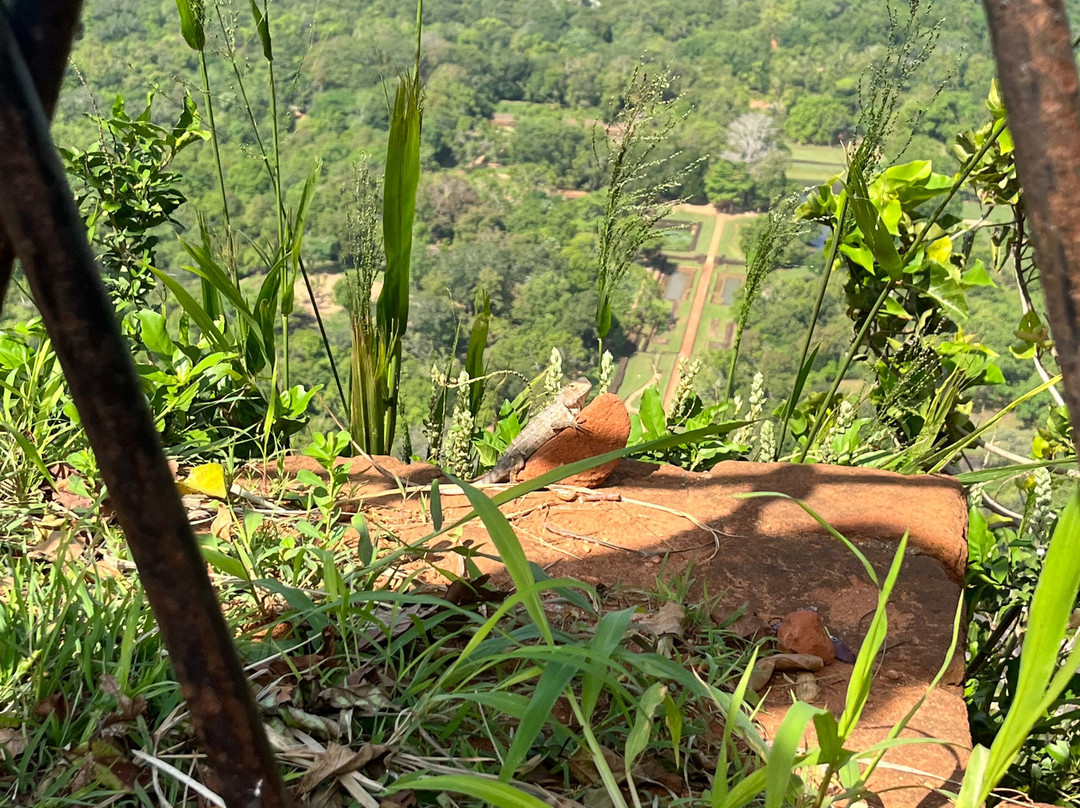 Different Discovery Tours-卡图纳耶克必去景点