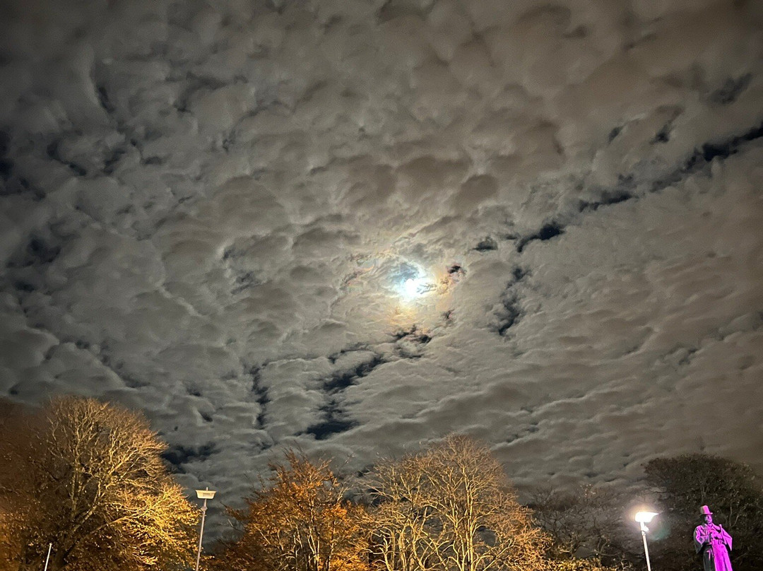 Torget-斯塔万格必去景点