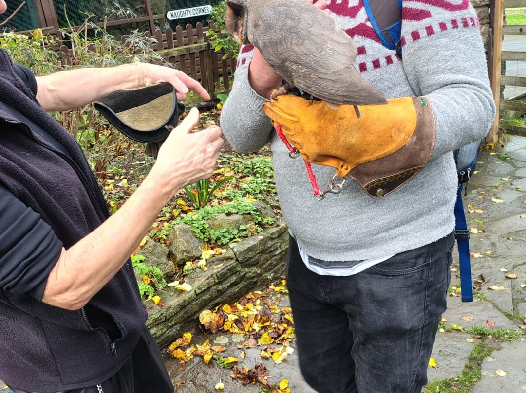 The Owls Trust-兰迪德诺必去景点