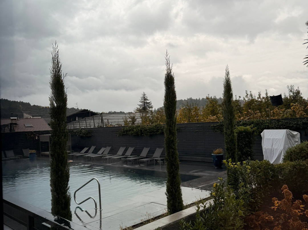 Hotel Tirolensis主图