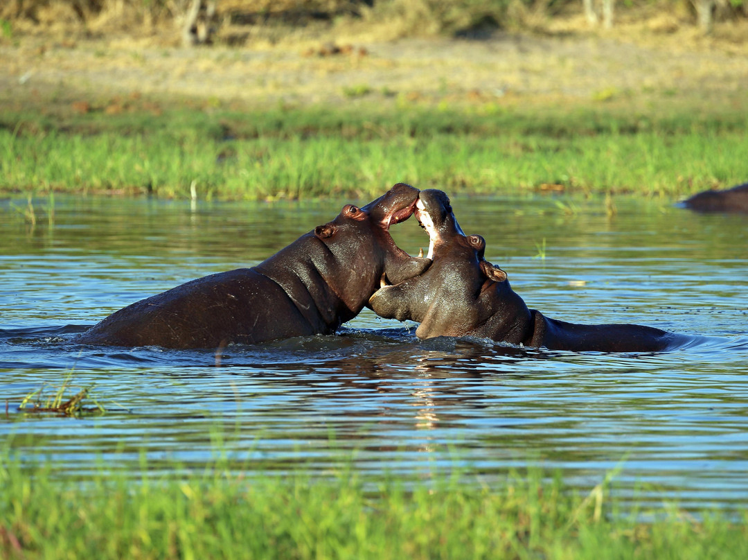 Africa's Best Adventures-开普敦必去景点