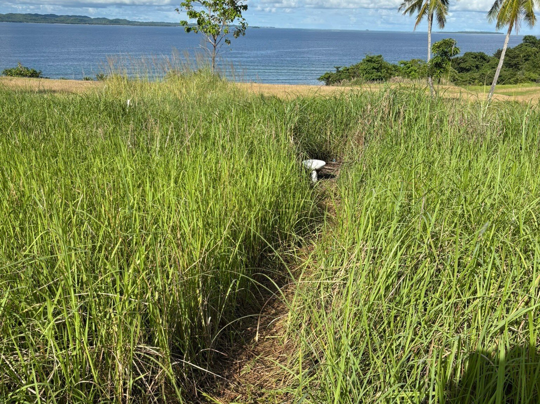 Galatea Tours Siargao-General Luna必去景点