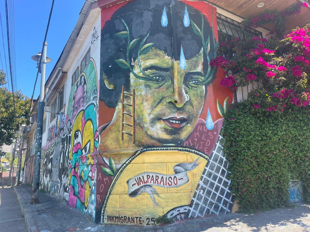 Hotel Casa Somerscales主图