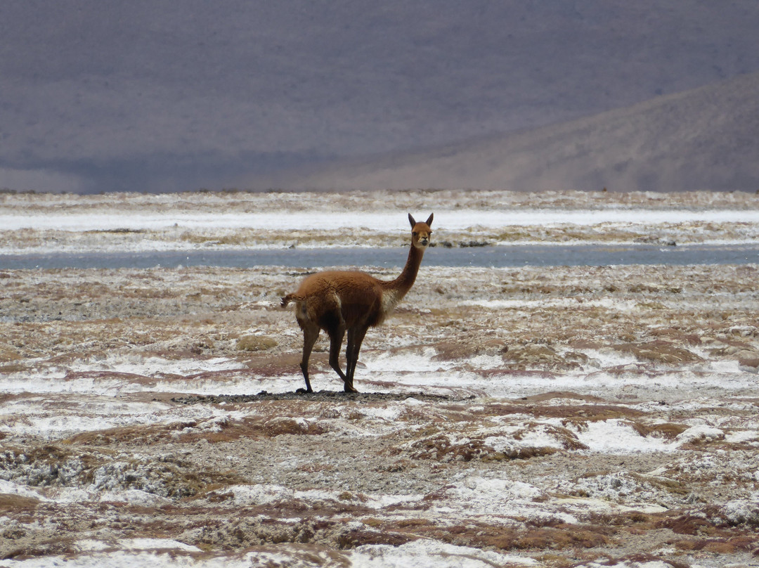 Mayuru Tour-Putre必去景点